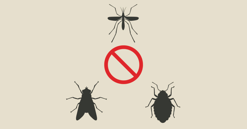 E-book eliminare insetti dai locali